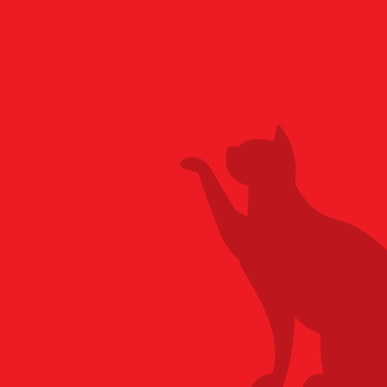 5 reasons to choose terracotta tiles